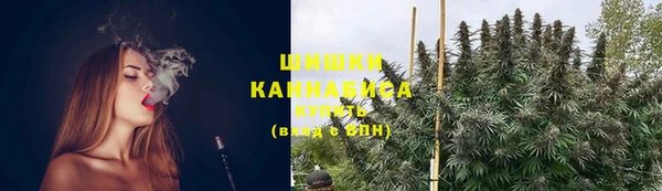 винт Мегион