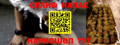 хмурый Бийск