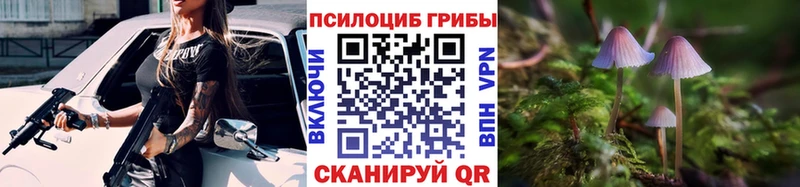 Псилоцибиновые грибы Psilocybe  OMG онион  Выкса 