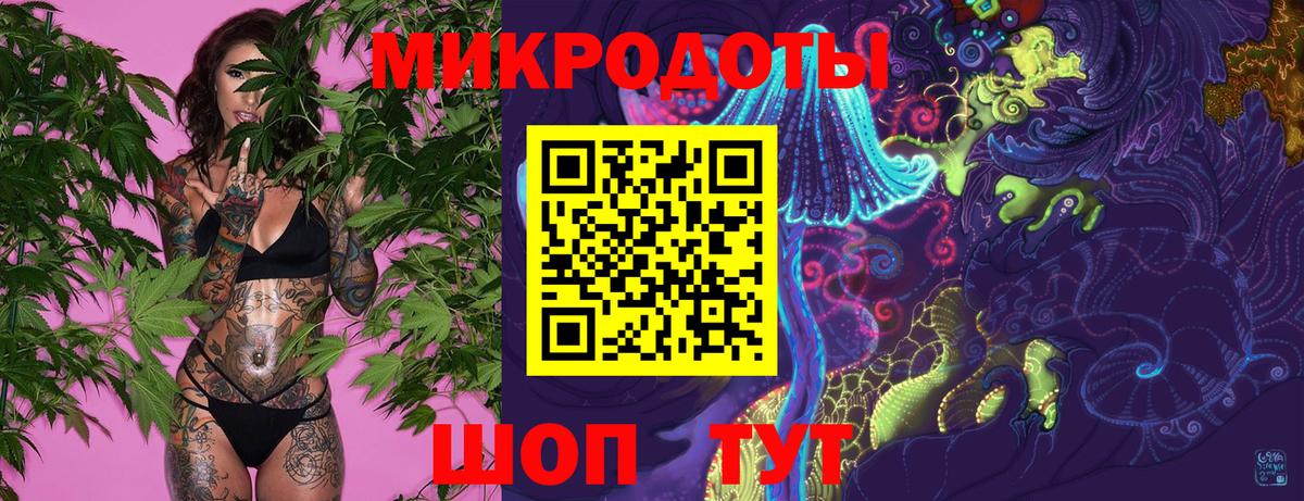 Псилоцибиновые грибы Psilocybe Выкса