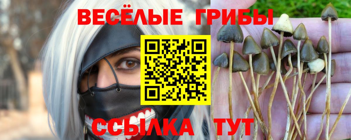 Псилоцибиновые грибы GOLDEN TEACHER  Вход с VPN  Выкса 
