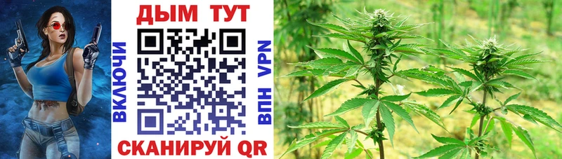 закладки  Выкса  Канабис планчик 